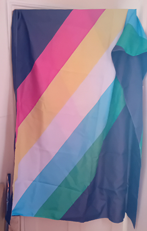 Photo of a disability pride flag (visually safe version) draped over a door.